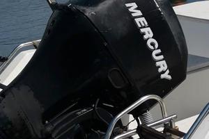 motore fuoribordo mercury efi 40/60 2009 iniezione