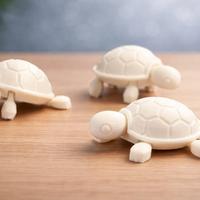 Tartaruga Articolata 3D Print