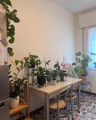 Tavolo e 6 sedie da cucina