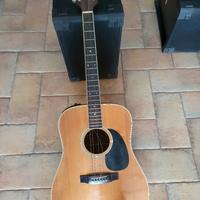 Chitarra Takamine