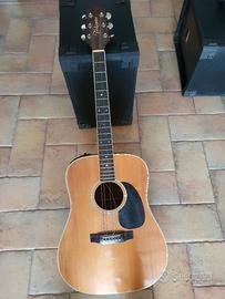 Chitarra Takamine