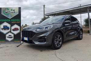 Ford Kuga 1.5 EcoBlue 120 CV aut. 2WD ST-Line X