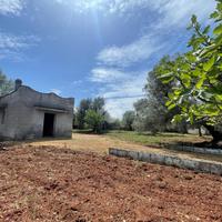RUSTICO A CEGLIE MESSAPICA