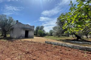 RUSTICO A CEGLIE MESSAPICA