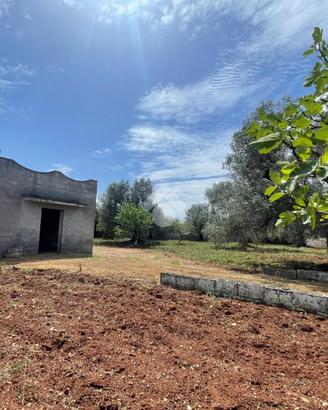 RUSTICO A CEGLIE MESSAPICA