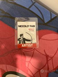 Pass tour Niccolo’ Fabi 2013