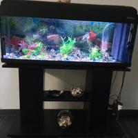 Acquario 100 litri 
