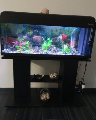 Acquario 100 litri 