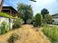Immagine 24