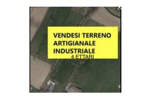 Terreno Industriale 44000 m