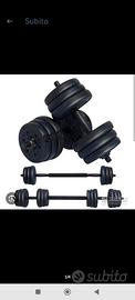 palestra manubri bilancere cinturone 