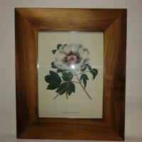 quadri stampe d epoca