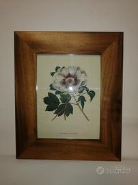 quadri stampe d epoca