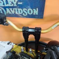 Raisers  Harley 