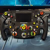 Thrustmaster sf1000 con t-Chrono paddle