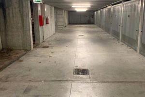 RG 7003/2024 Tribunale Verona