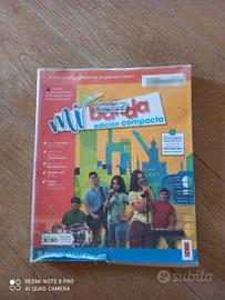 mi banda 