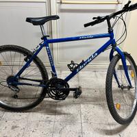 Bici usata