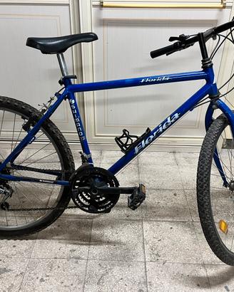 Bici usata
