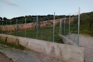 Terreno verde agricolo