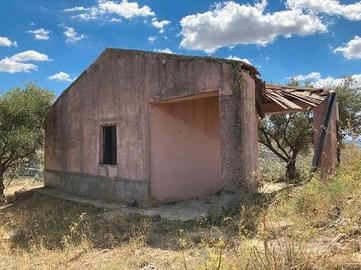 RGE 2/2022 Trib ENNA - LOTTO 2