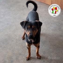 ELSA piccolina e tanto tenera