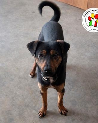 ELSA piccolina e tanto tenera