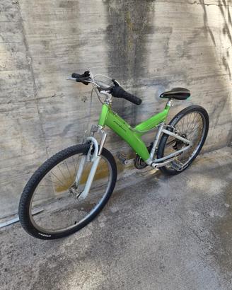 Mtb pininfarina