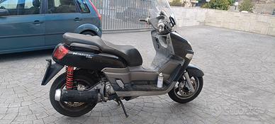xc 300 o calibre