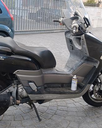 xc 300 o calibre