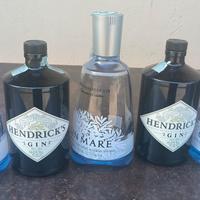 bottiglie di gin vuote 