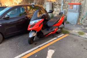 G dink 300i