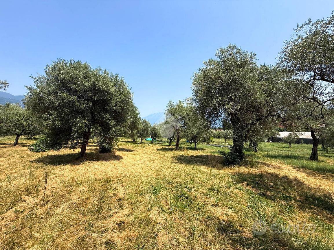 TERRENO A TOSCOLANO-MADERNO - Vista 4
