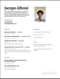 Lavoro a Bologna: babysitter, cameriere ecc.