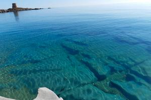 Vacanze in delle spiagge libere di tutti i generi