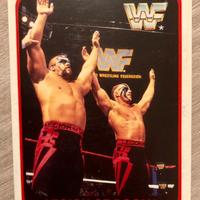 Merlin Trading Cards Wrestling WWF 1991 Italia