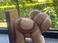 Immagine 2