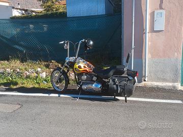  harley davidson  softail custom