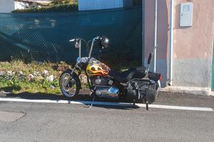  harley davidson  softail custom
