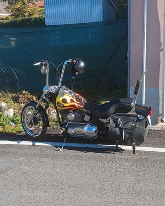  harley davidson  softail custom