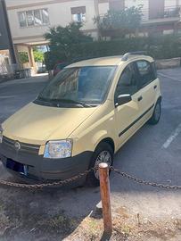 Panda 1200 Dynamic, anno 2005