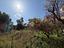 Immagine 20