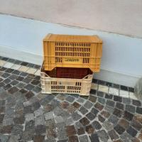 cassette ortofrutticoli 