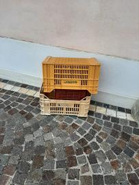 cassette ortofrutticoli 