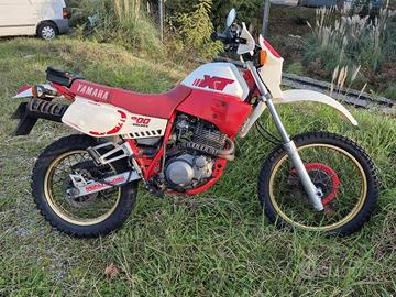 tenere 600 anni 80