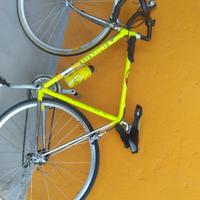 bici da corsa Pinarello 