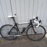 Bicicletta in carbonio