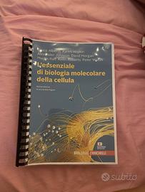 L’essenziale di biologia molecolare