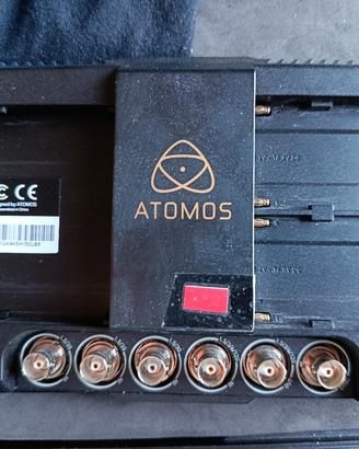 ATOMOS SHOGUN INFERNO versione PRO