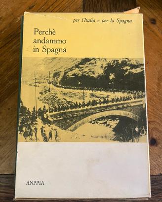 Perché andammo in Spagna - Pionieridell’Italia dem
